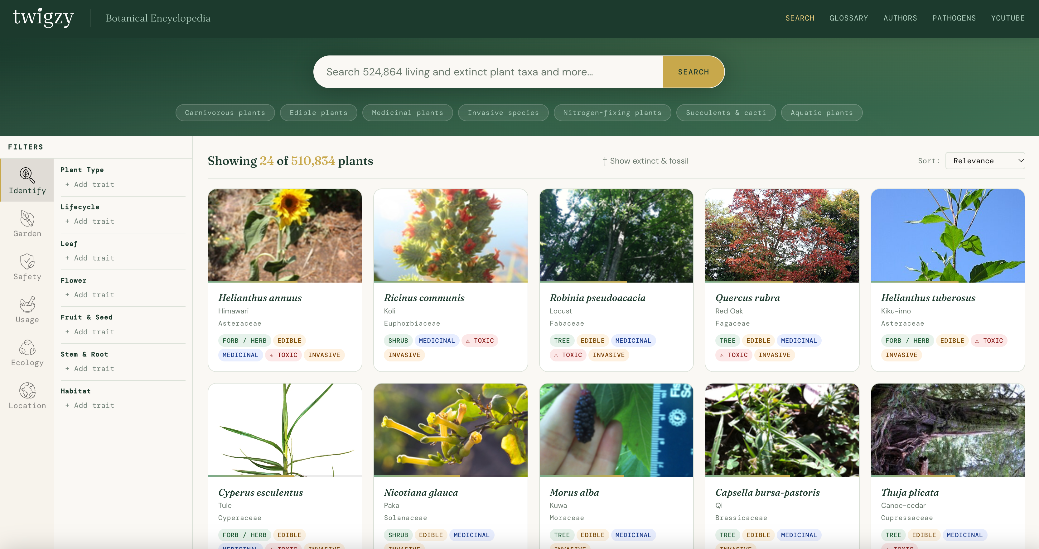 Case study: Making 524k plants findable by two incompatible user personas